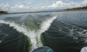 snakehead lure fishing tour chiang mai